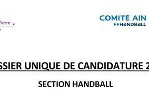 Dossier de candidature 2018 - Section Hand - Lycée Saint Pierre